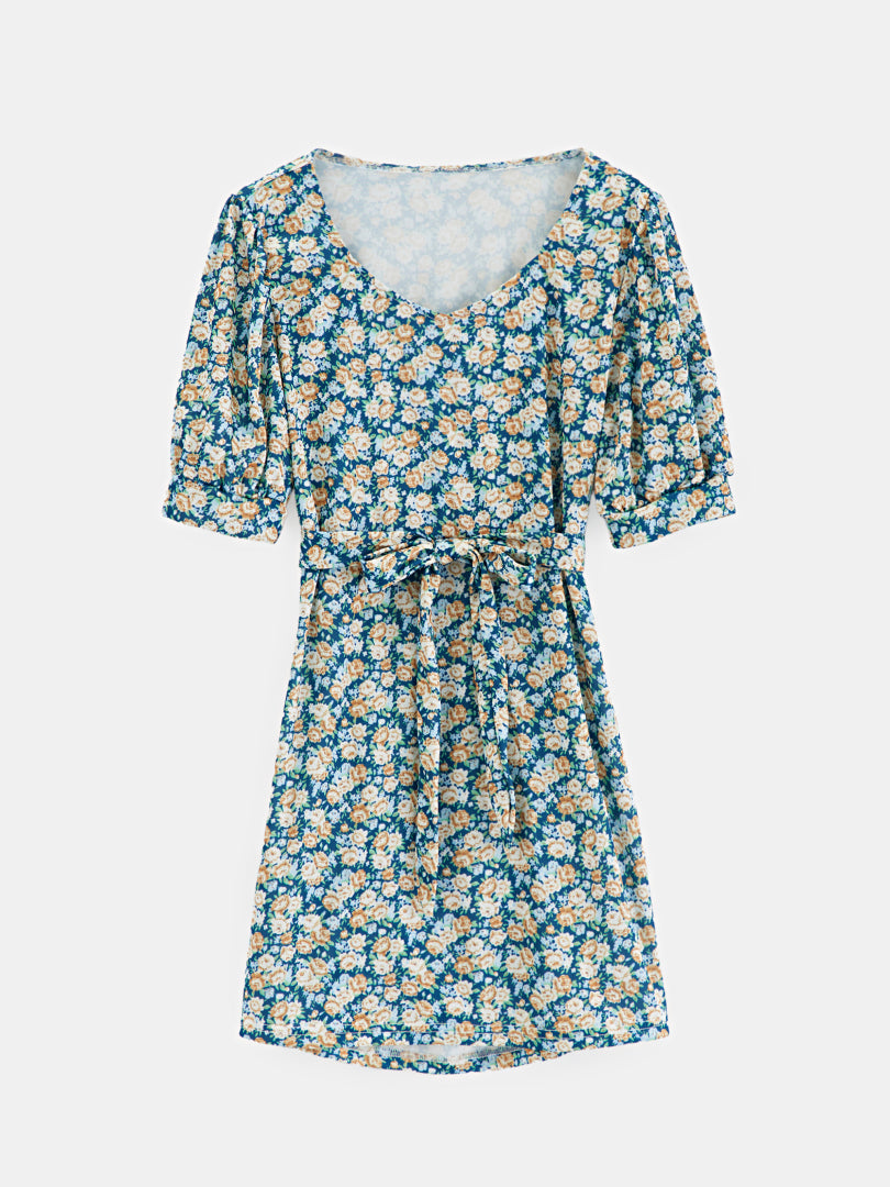 Printed A-Line Dress 1273212