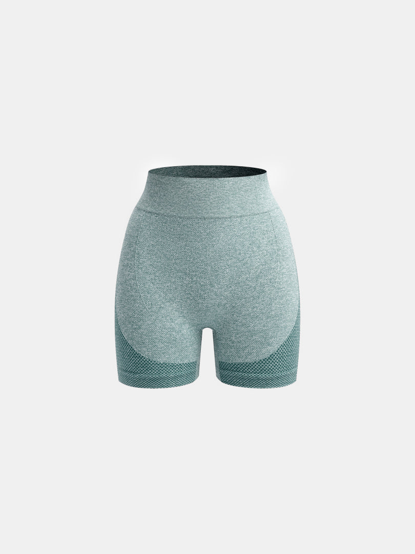Gym Shorts 1293032
