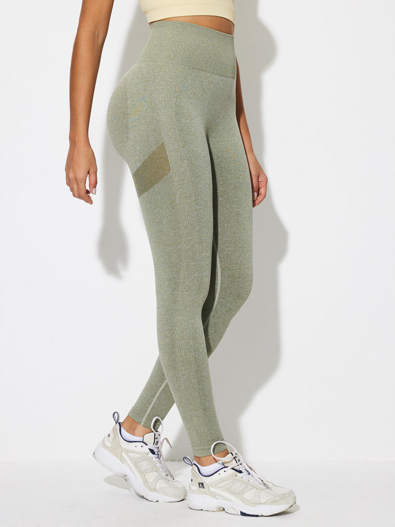 Gym Legging 1265092