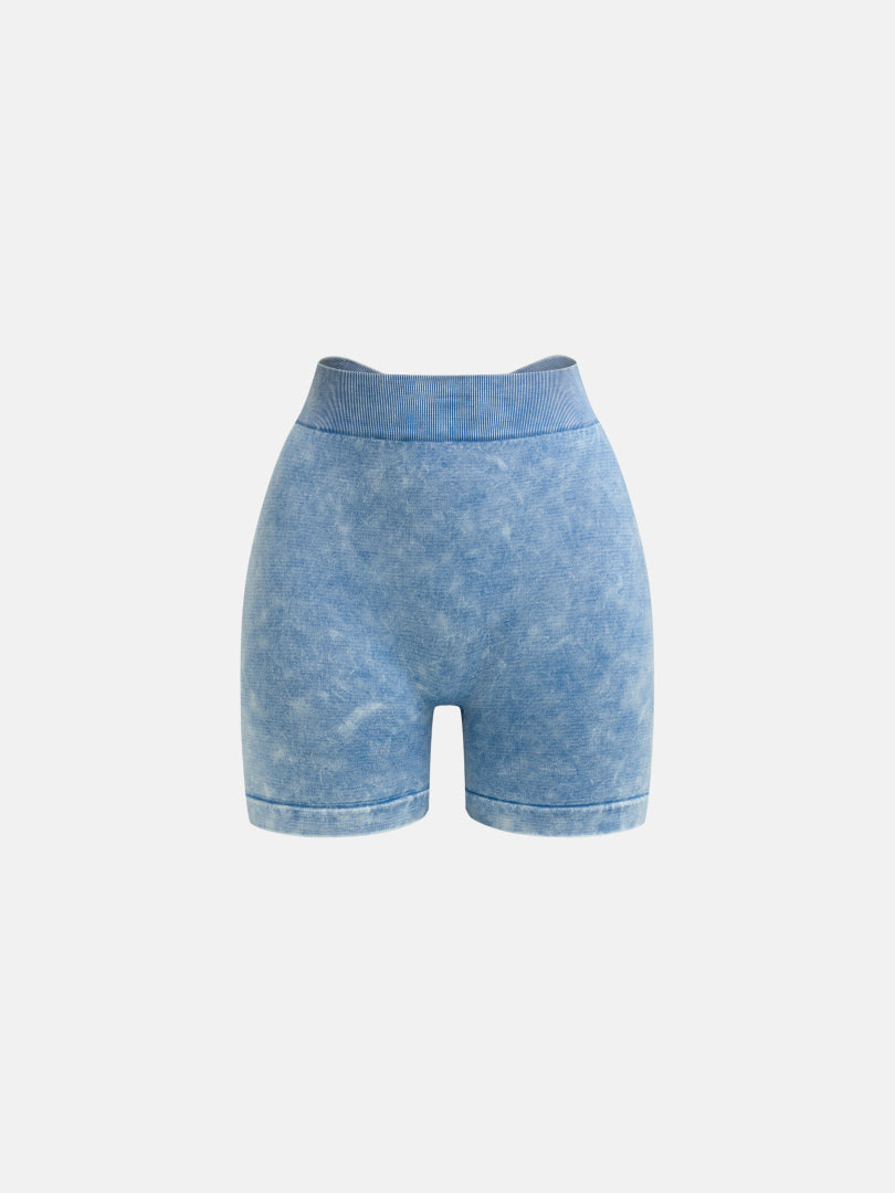 Gym Shorts 1293162