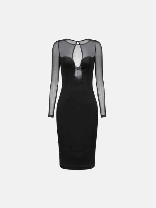 Sheer Bodycon Dress 1240802