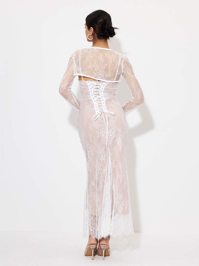 Sheer Bodycon Dress 1257382