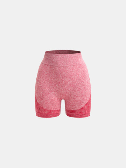 Gym Shorts 1293032