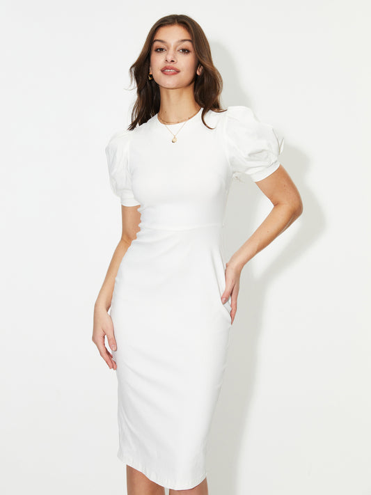 Bodycon Dress 1243102
