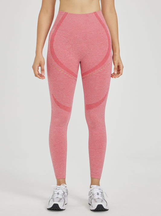 Gym Legging 116744