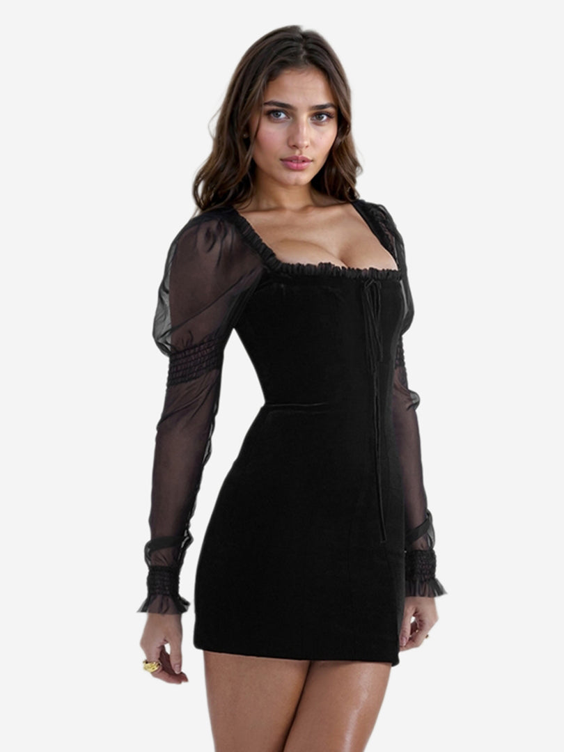 Sheer Bodycon Dress 1242552