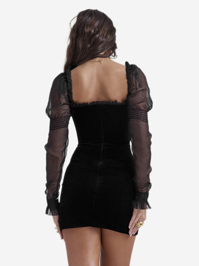 Sheer Bodycon Dress 1242552