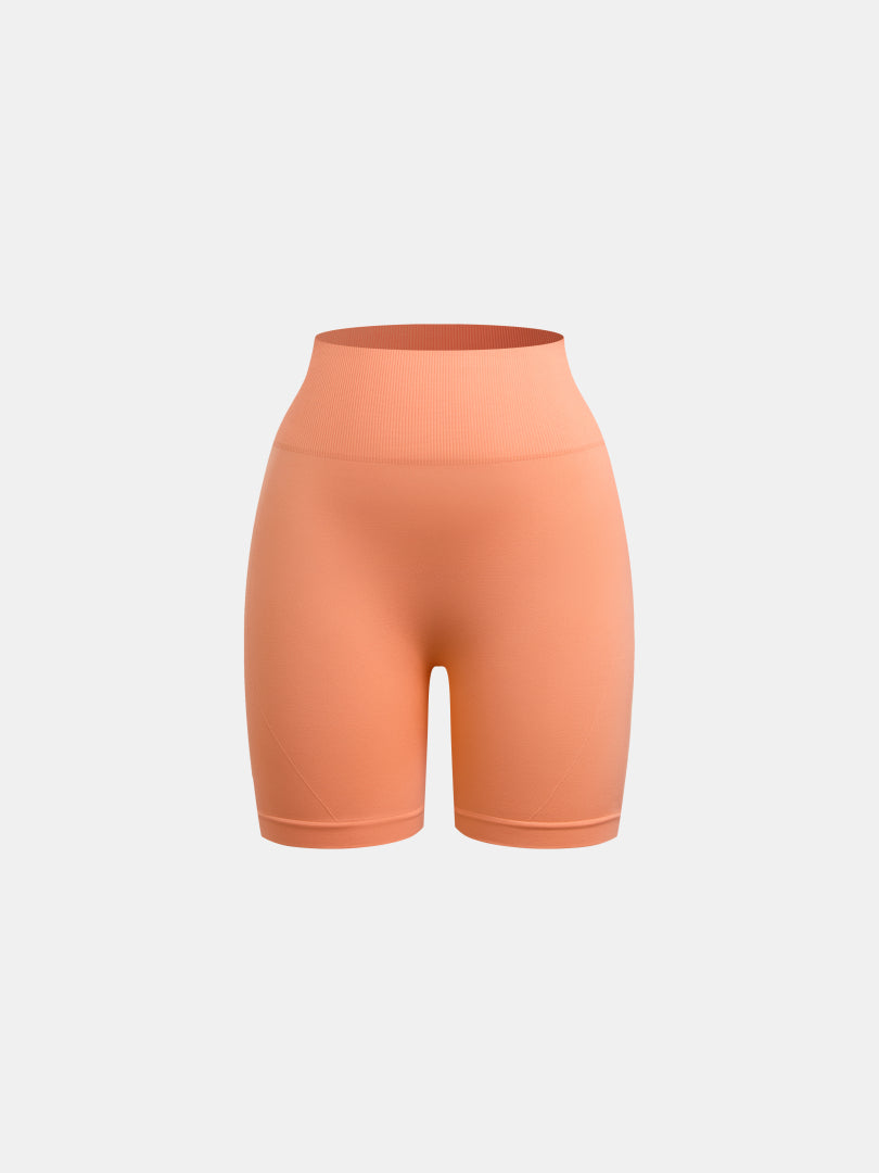 Gym Shorts 1278262