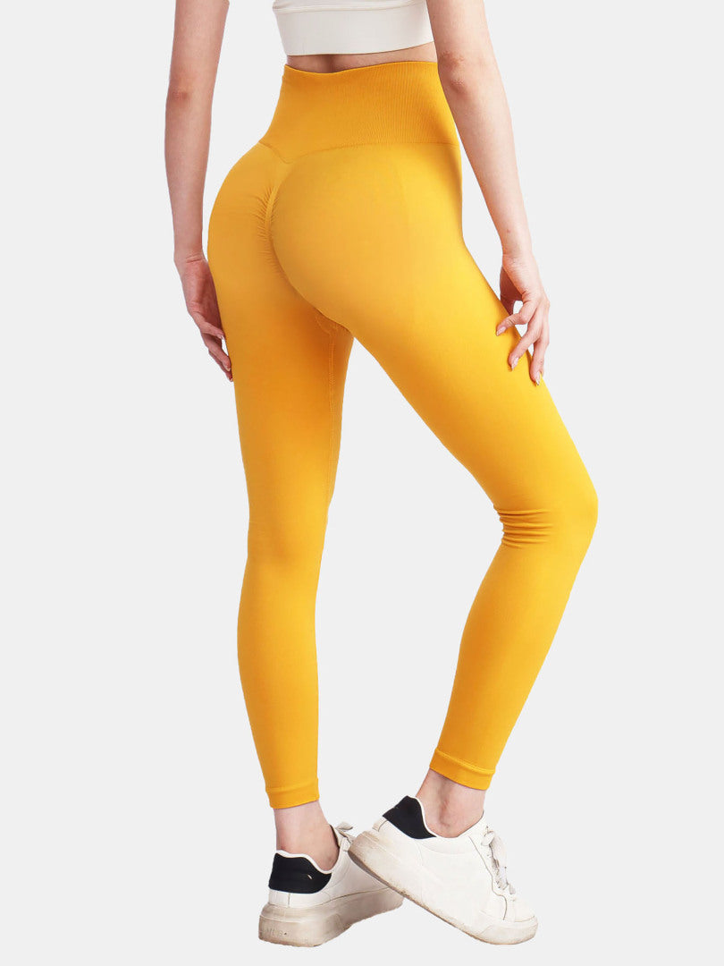 Gym Legging 1255602