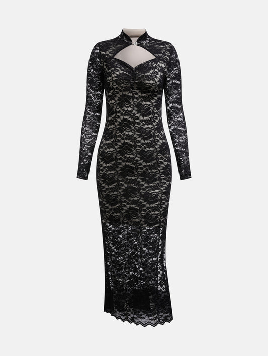 Sheer Bodycon Dress 1242942