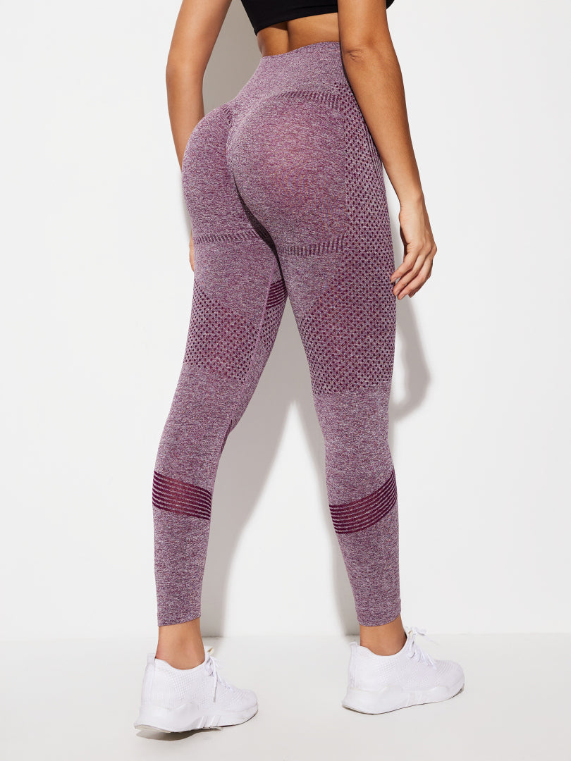 Gym Legging 1279212