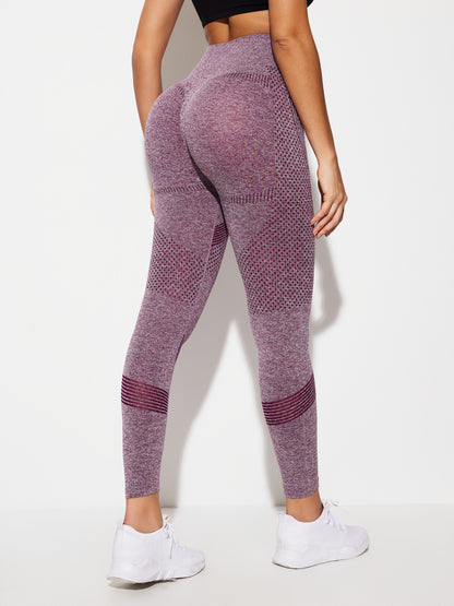 Gym Legging 1279212
