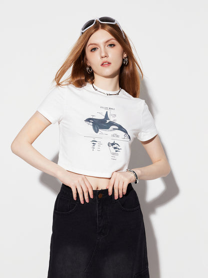 Printed Pullover T-Shirt 1281162