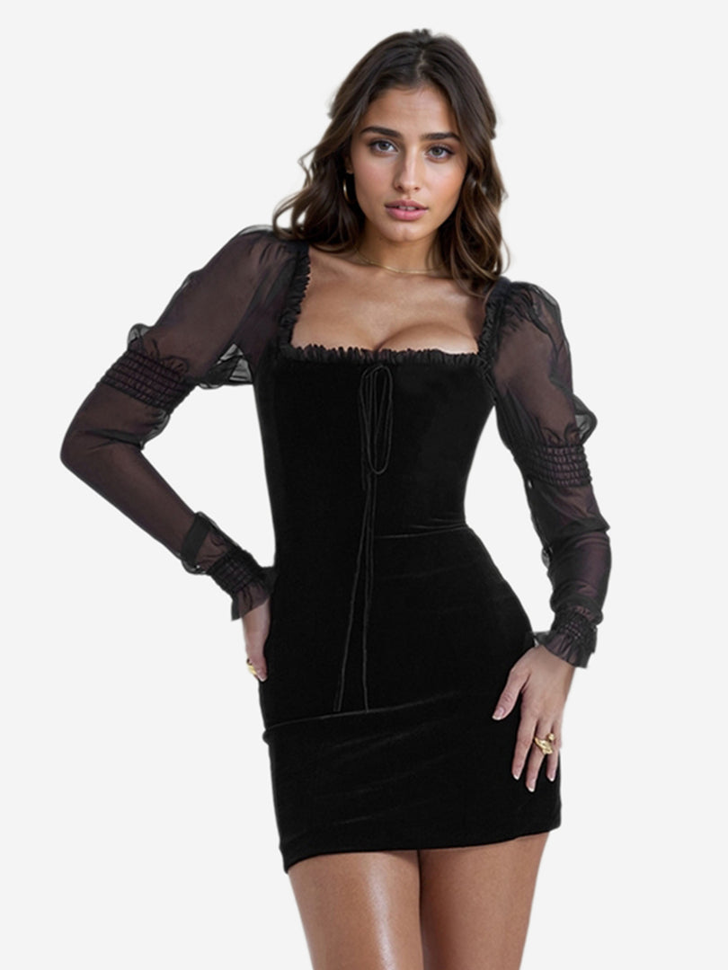 Sheer Bodycon Dress 1242552