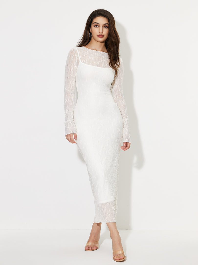 Sheer Bodycon Dress 1250832
