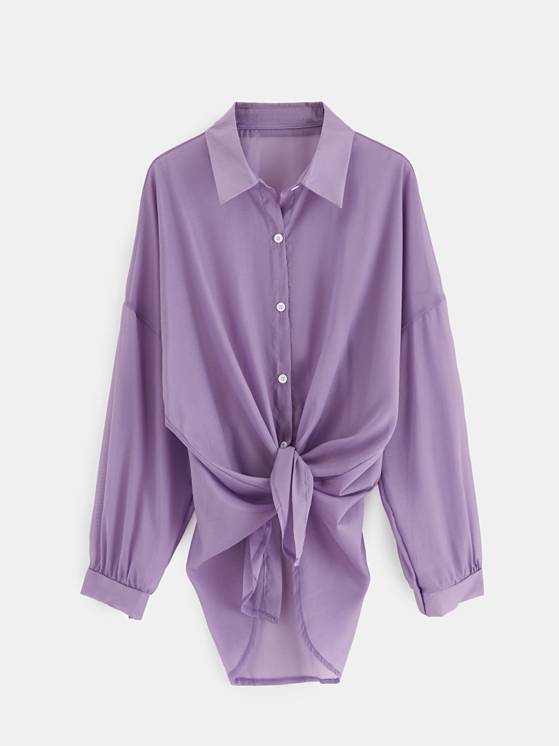 Sheer Placket Blouse 1248612