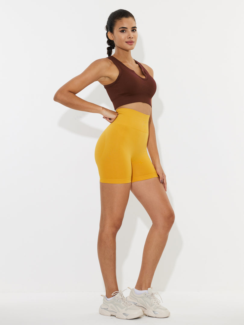 Gym Shorts 1240672