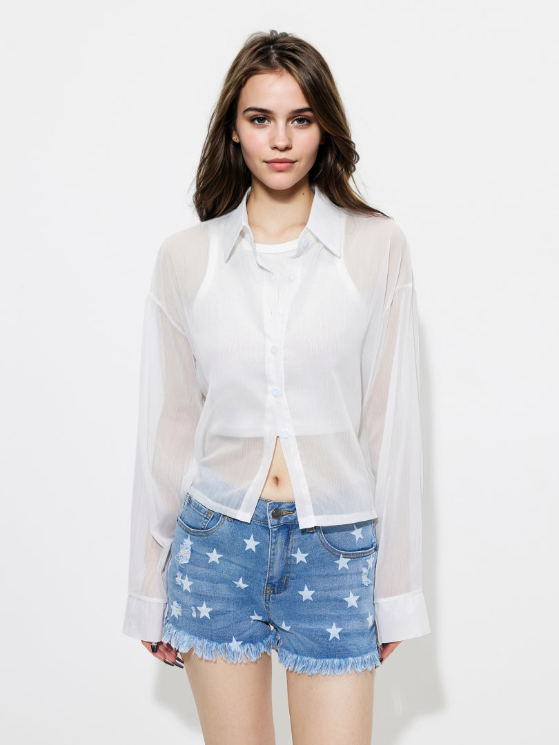 Sheer Placket Blouse 1257122