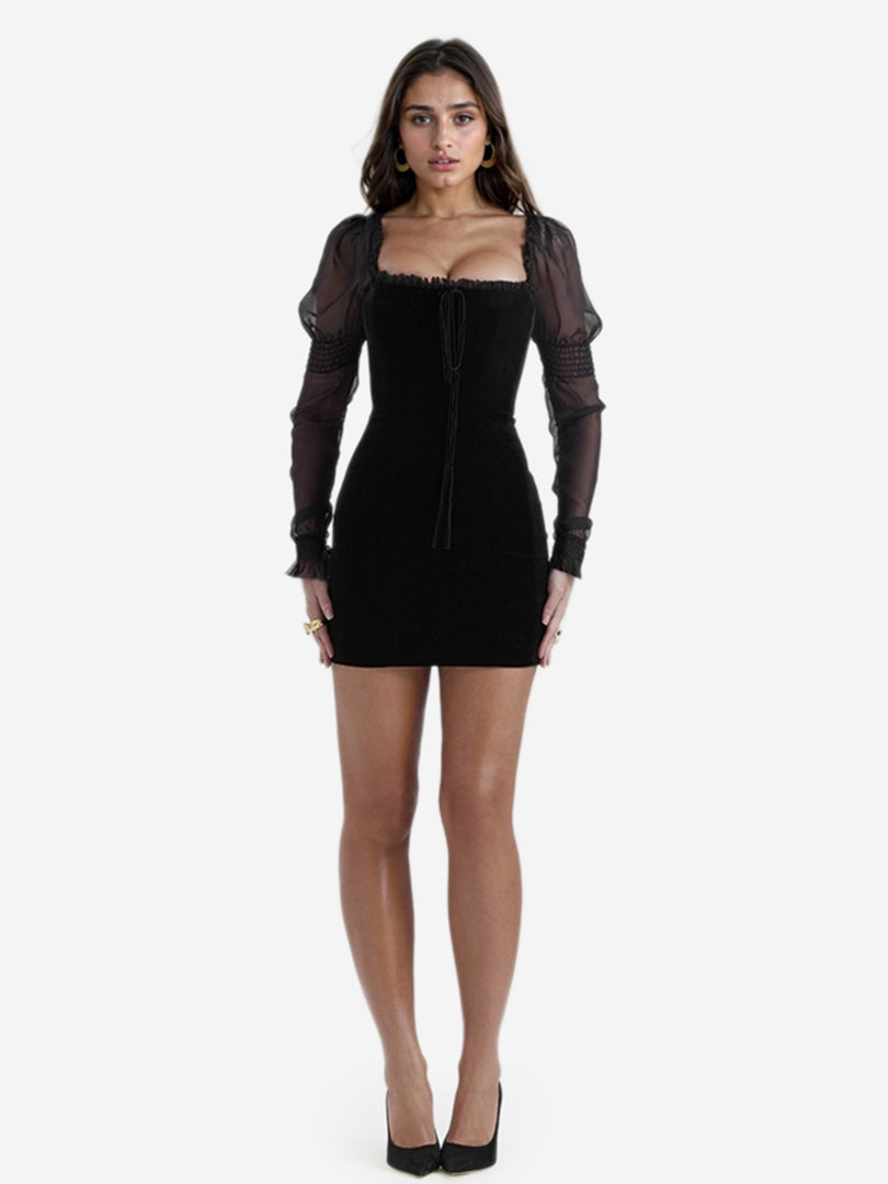 Sheer Bodycon Dress 1242552