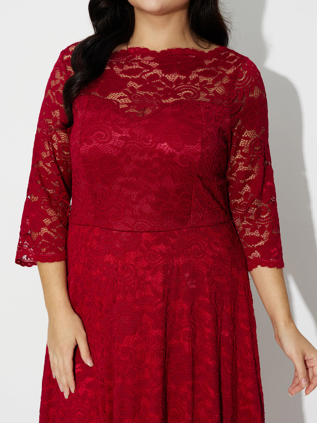 Plus Size Lace A-Line Dress 121219
