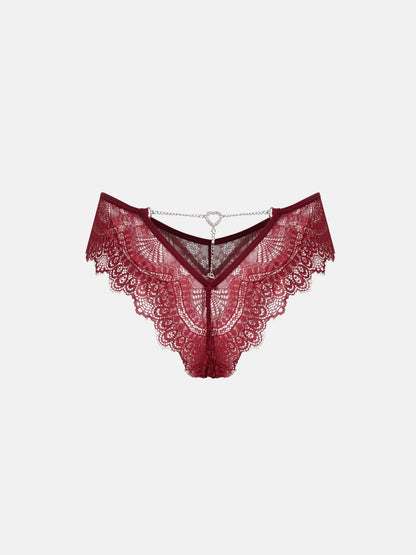 Lace Embellished Hipster Brief 119066