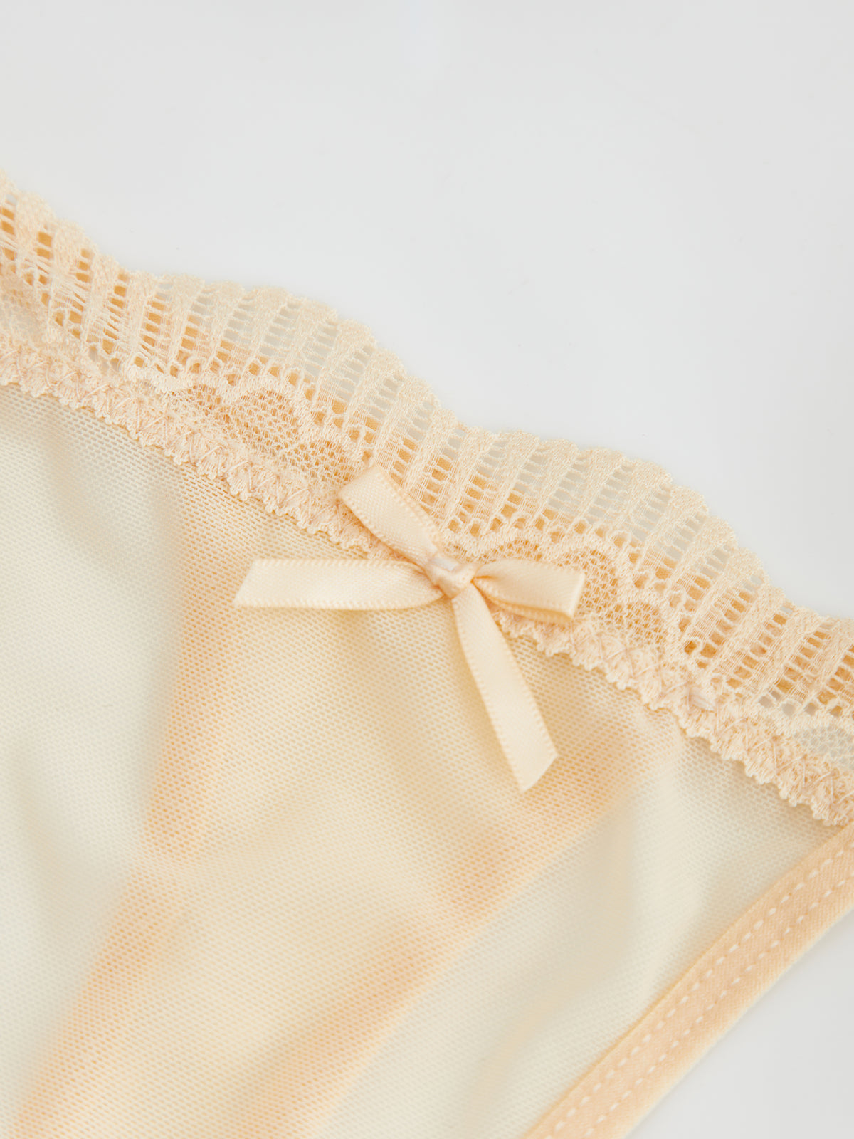 Solid Sheer Thong 118582